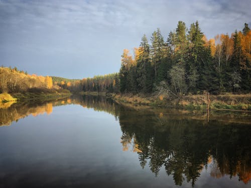 Ilmainen kuvapankkikuva tunnisteilla joki, luonto, maisema