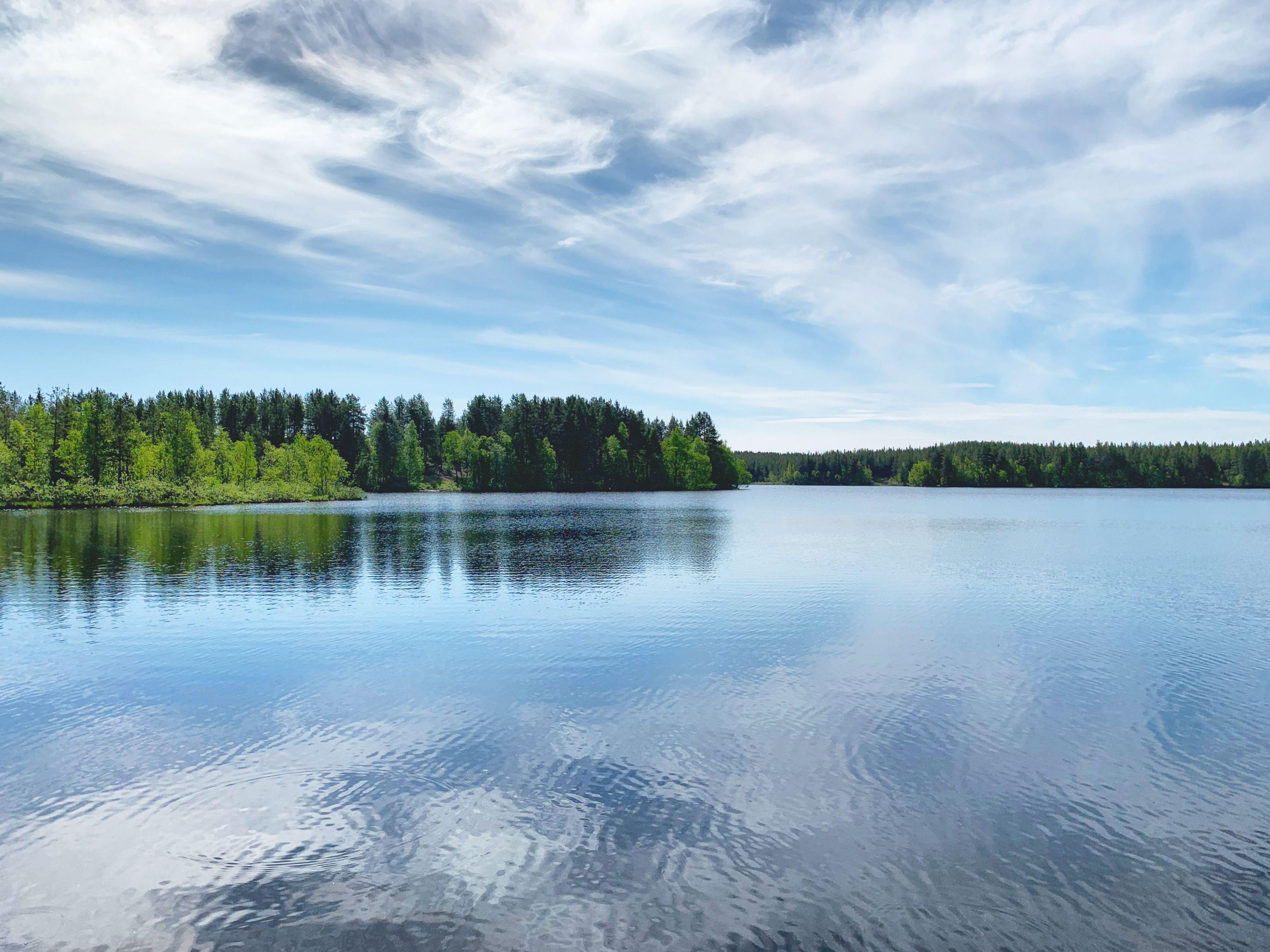Fotomural Paisaje sereno de lago bajo un cielo azul con árboles verdes exuberantes en Kandalaksha, Óblast de Murmansk, Rusia.