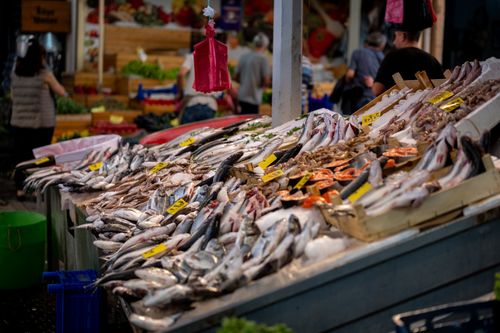 Free A vibrant selection of fresh seafood displayed at a bustling market in İzmir, Türkiye. Stock Photo