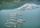 fish farming