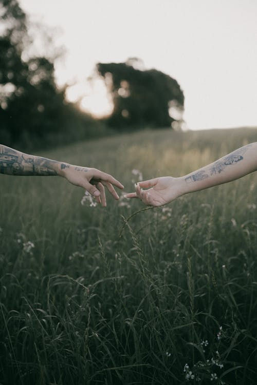 Outstretched Hands of a Couple Over the Grass in a Pasture