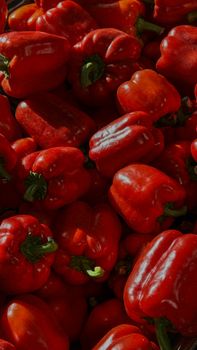 Red Bell Pepper — Pimiento