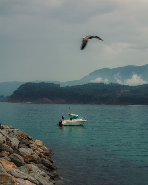 Fotobanka s bezplatnými fotkami na tému jazero, lietanie, motorový čln