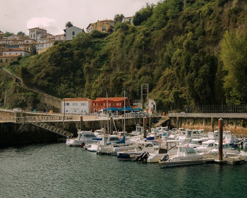 Motorboats in Marina on River