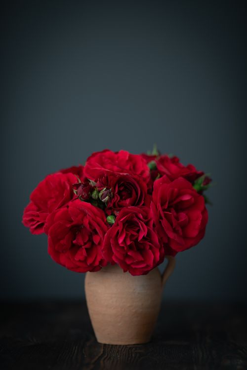 Free A stunning display of red roses in a vase against a dark background, exuding elegance. Stock Photo