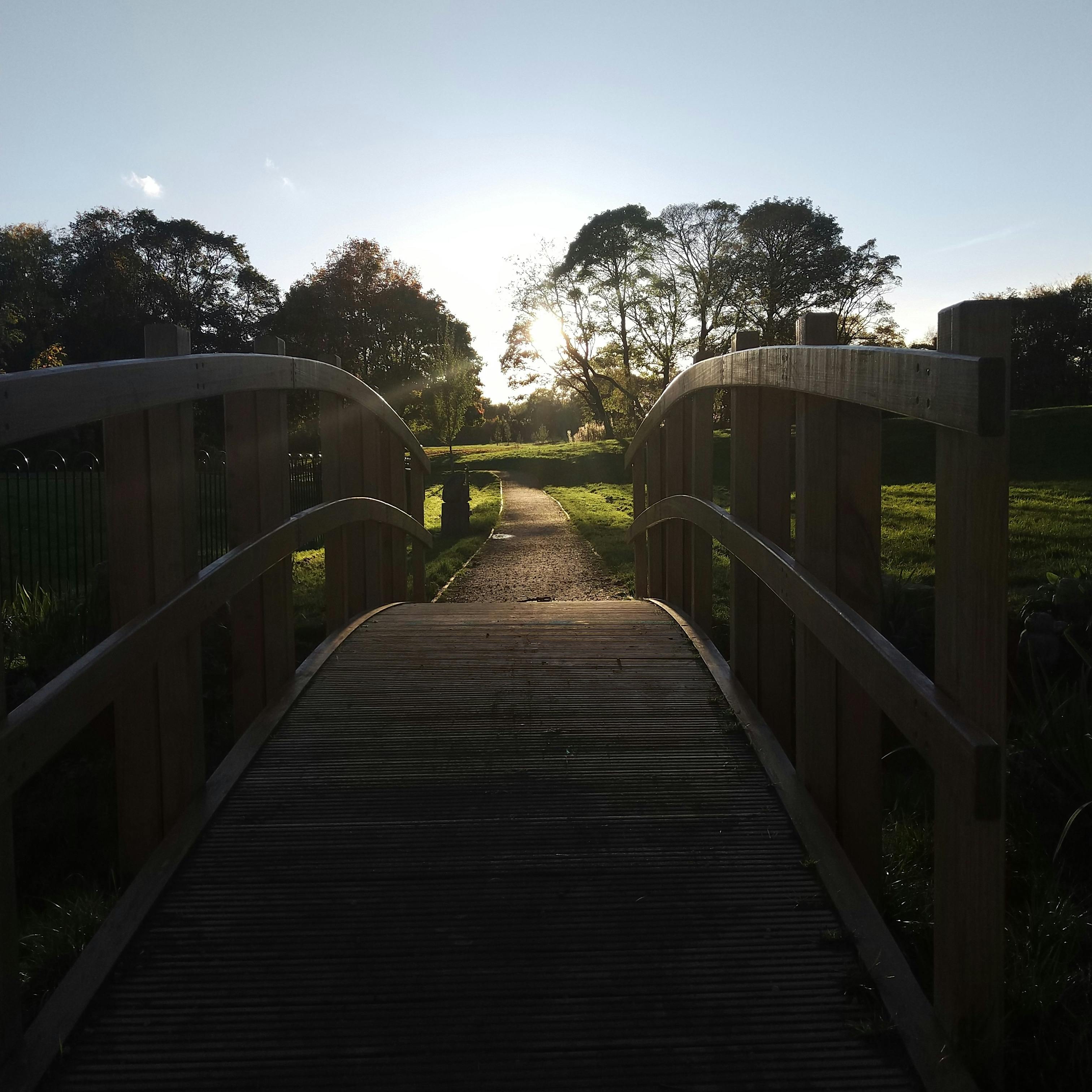 Free stock photo of bridge, nature, pathway
