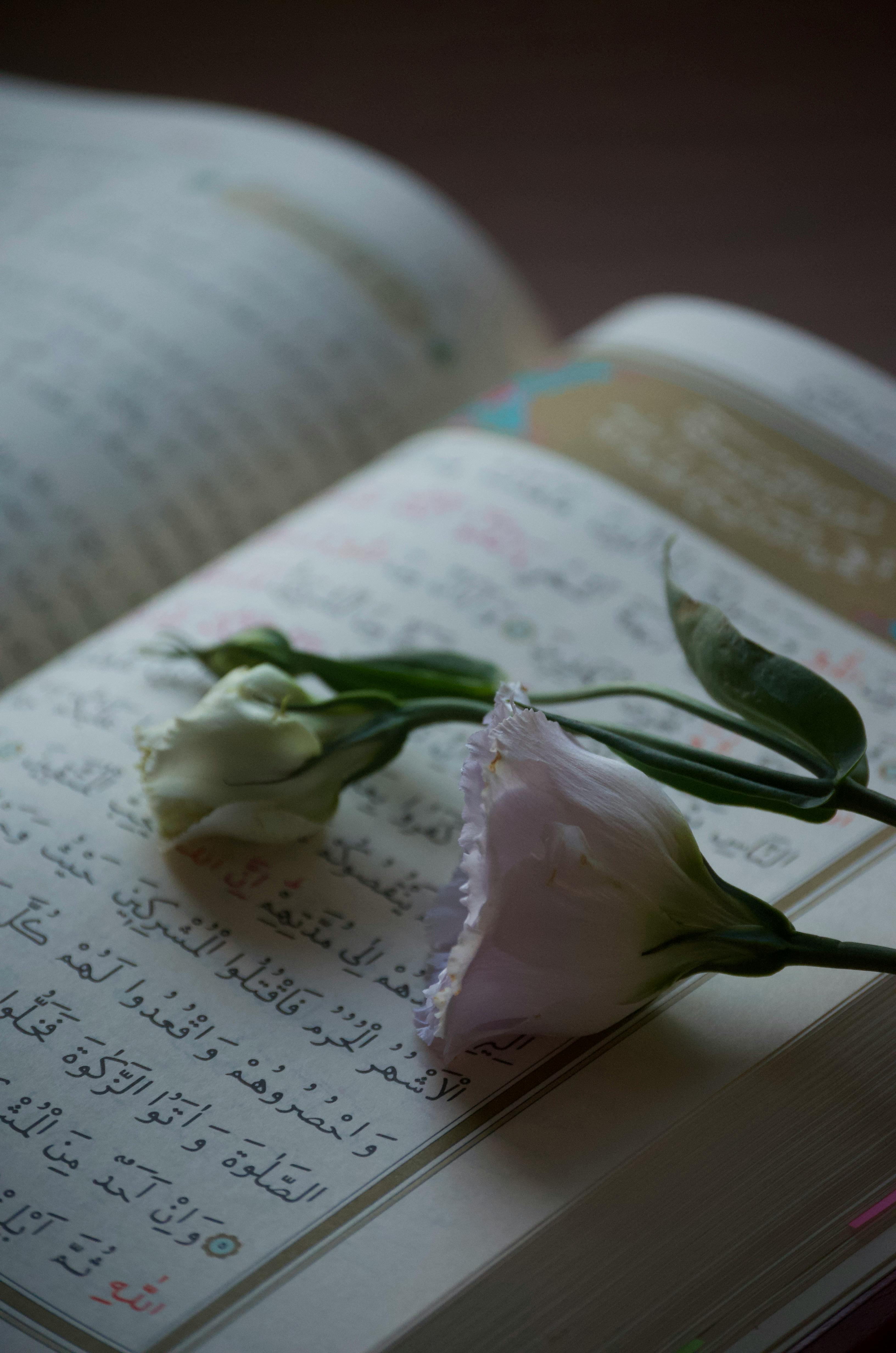 delicate flowers on open book