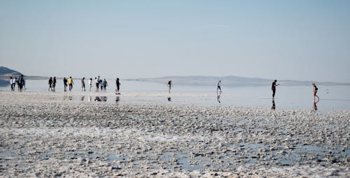 People Walking on Beach
