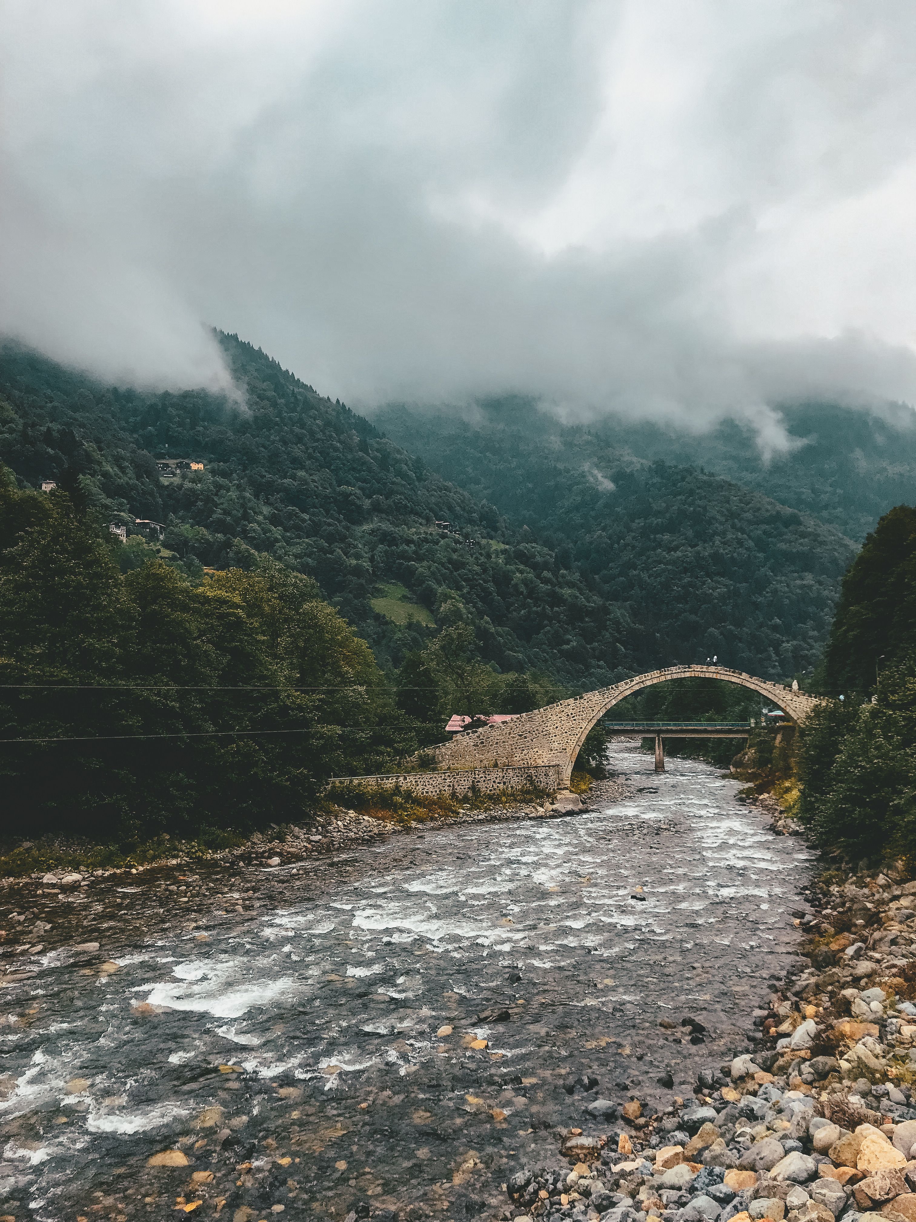 Rize Photos, Download The BEST Free Rize Stock Photos & HD Images