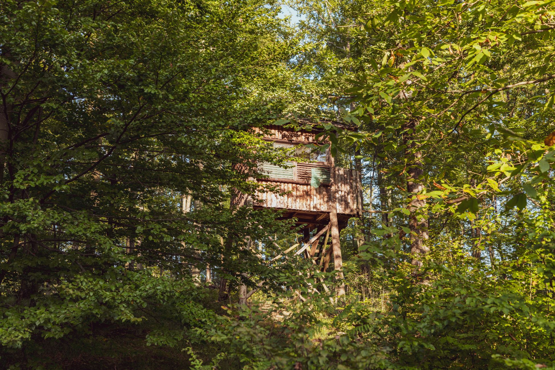 Luxe boomhutten in Belgische Ardennen op korte afstand van Nederland