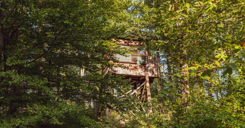 Hébergement insolite en plein air : découvrez ces expériences authentiques
