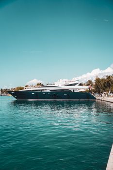 Elegant motor yacht beside a palm-lined coast, perfect for serene getaways.