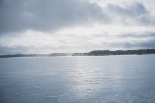 Ice on Lake Surrounded by Forest