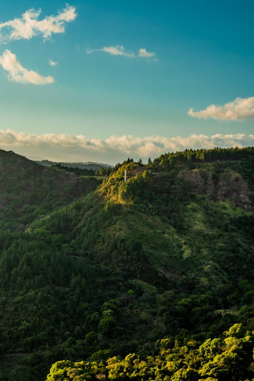бесплатная Вид на зеленый холм под пасмурным небом Стоковое фото