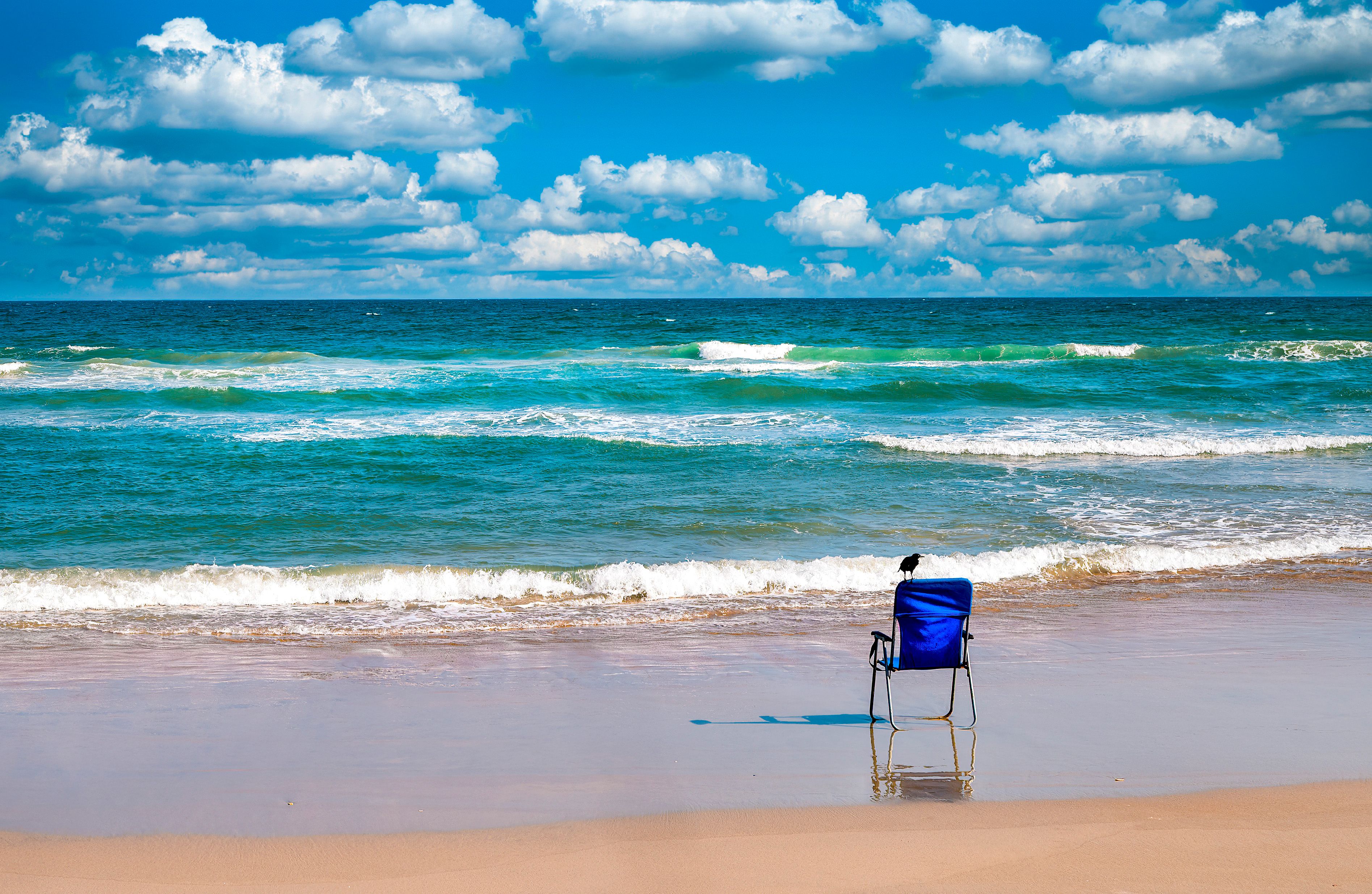 Remote workers tried to flock to a San Diego beach. The city shut it down. — Photo by tom porter on Pexels