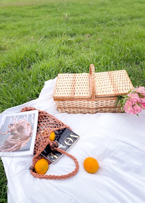 Shopping Net with Lemons and Fashion Catalogs on a Picnic Blanket Next to a Wicker Basket with Flowers