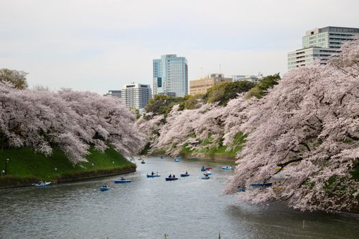 Chidorigafuchi