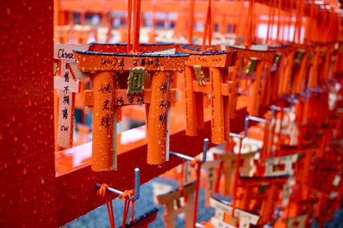 Free Raindrops on torii gates hang at Fushimi Inari Shrine, Kyoto. Stock Photo