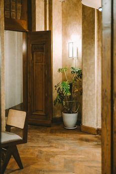 Warmly lit interior in Istanbul featuring wooden furniture and a potted plant.