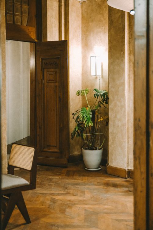 Free Warmly lit interior in Istanbul featuring wooden furniture and a potted plant. Stock Photo