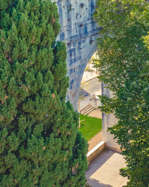 Wall with Arch behind Trees