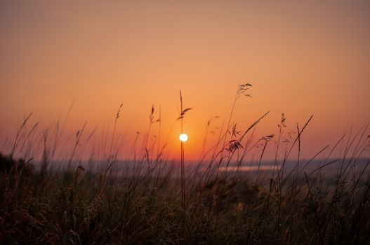 Peaceful sunset over a grassy field with a vivid orange sky, ideal for nature themes.