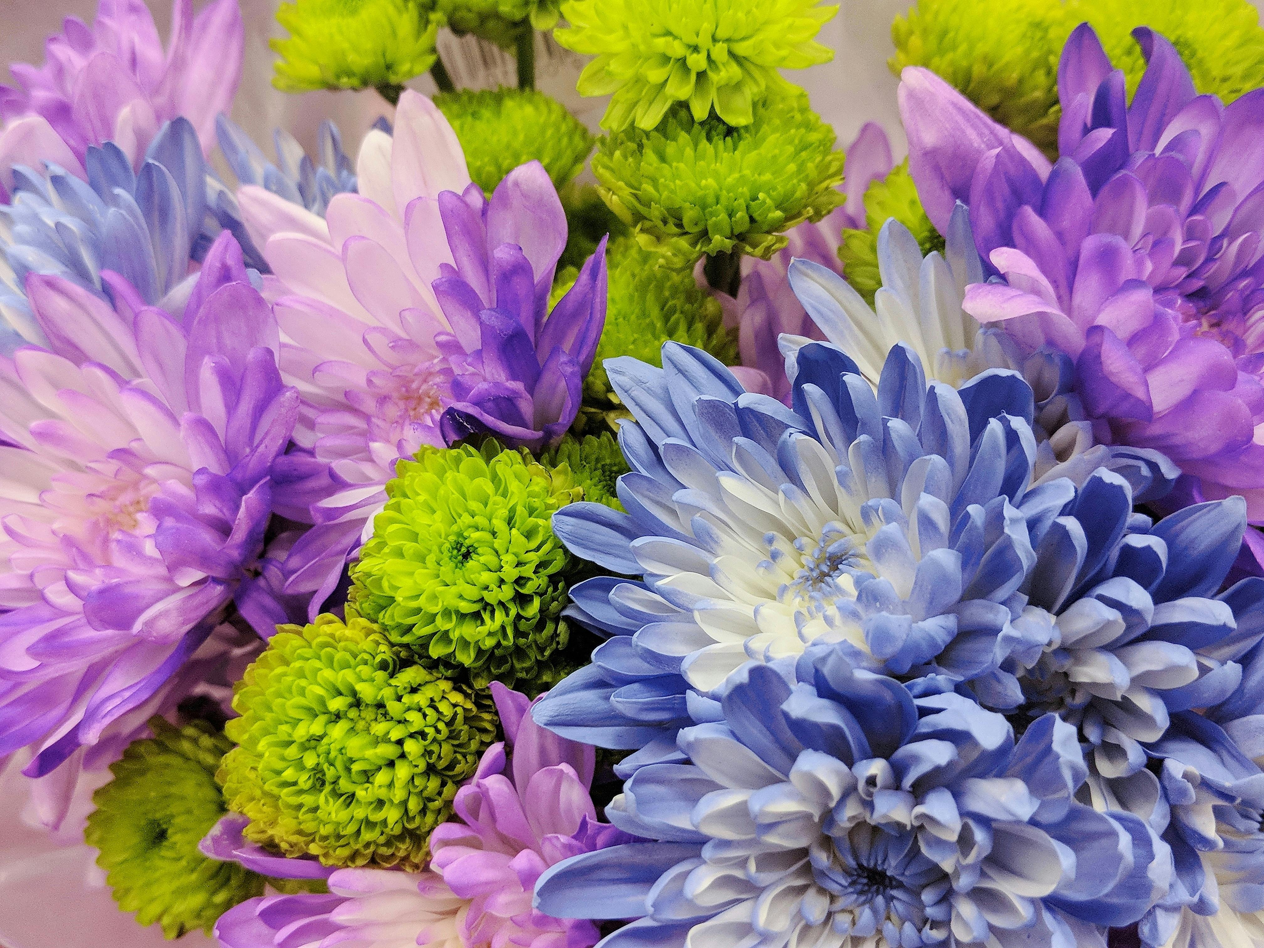 Free stock photo of flower bouquet, lavender flowers, purple and green