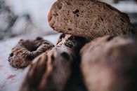 Delicious assortment of freshly baked artisan breads. Close-up view emphasizing texture and detail.