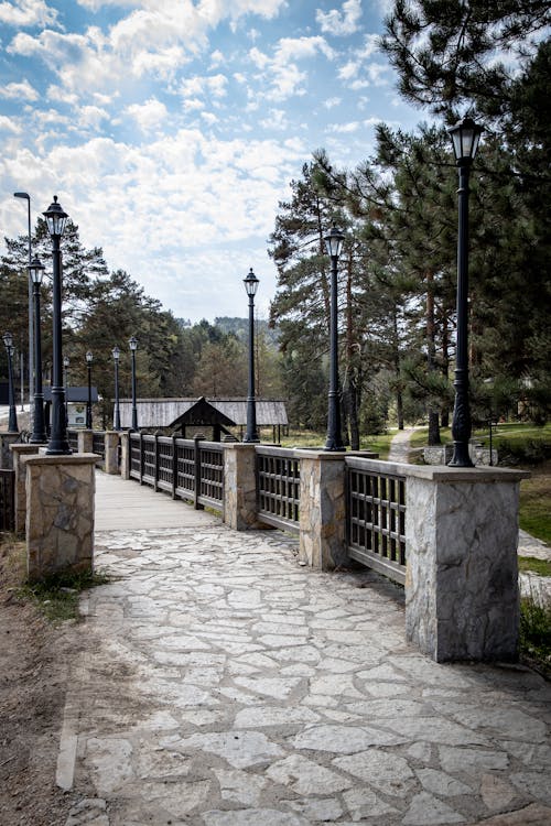 人行天橋, 公園, 垂直拍摄 的 免费素材图片