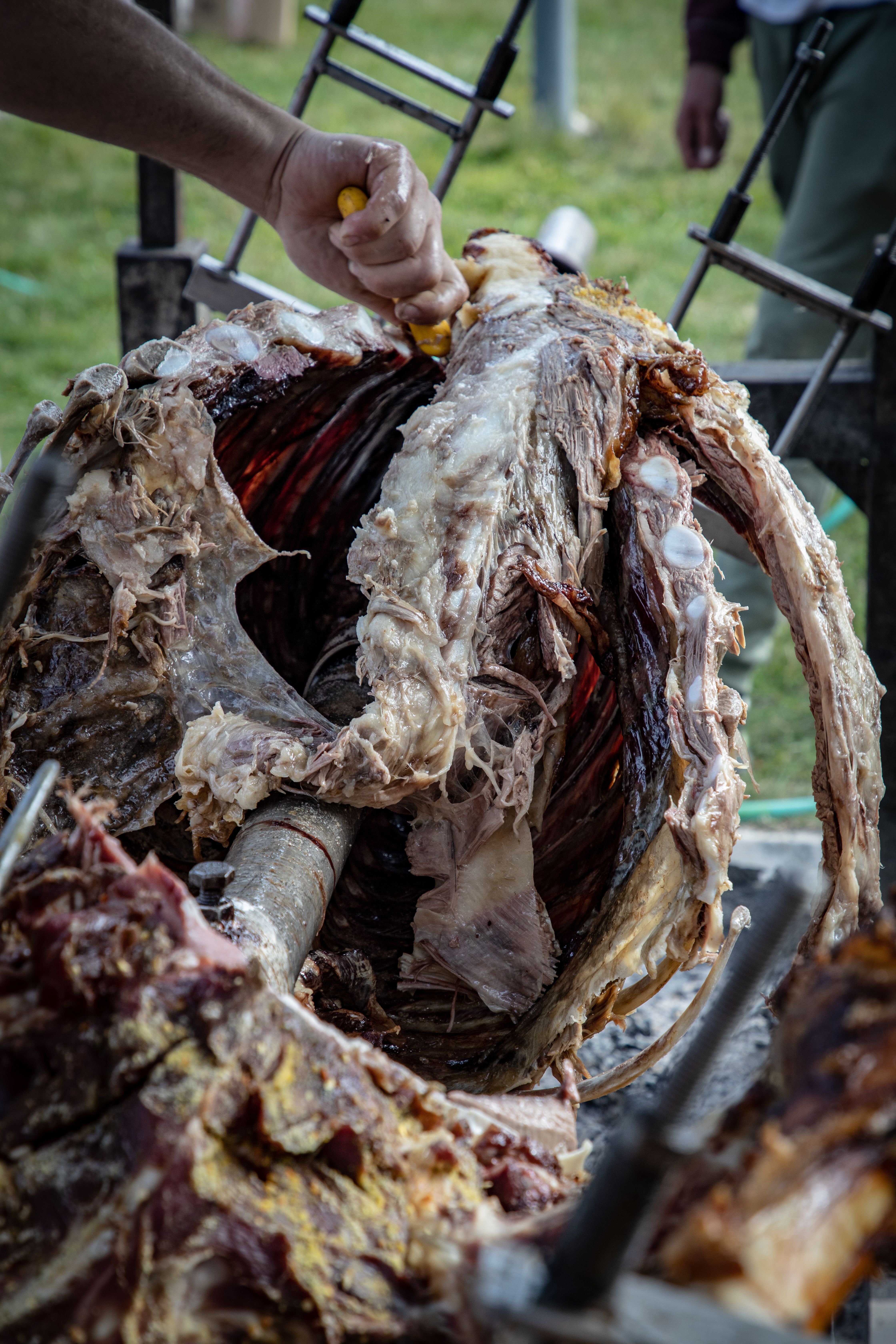 Outdoor meat roasting on a rotisserie spit, showcasing traditional cooking techniques.