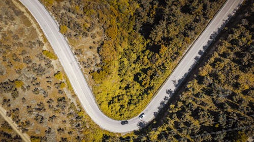 Aerial View of Curved Road on Mountainside