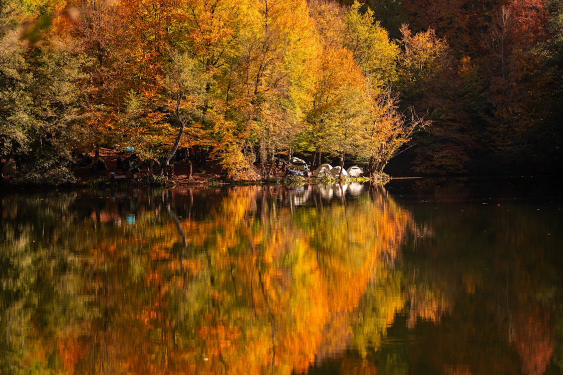 Trees in Autumnal Colors Reflecting in the Water