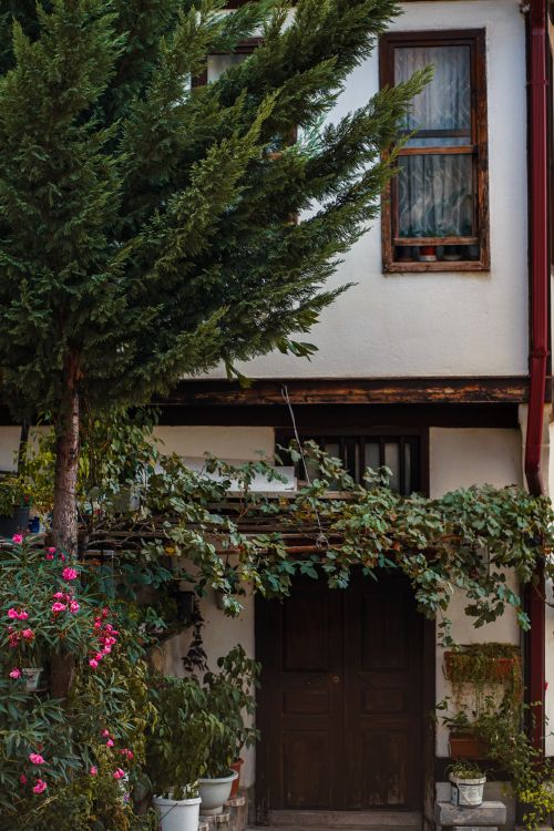 Free Rustic wooden door surrounded by lush foliage and flowers on a charming house exterior Stock Photo