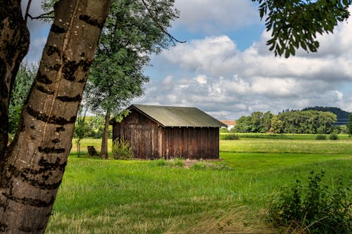 Бесплатное стоковое фото с пейзаж, поле, сельский