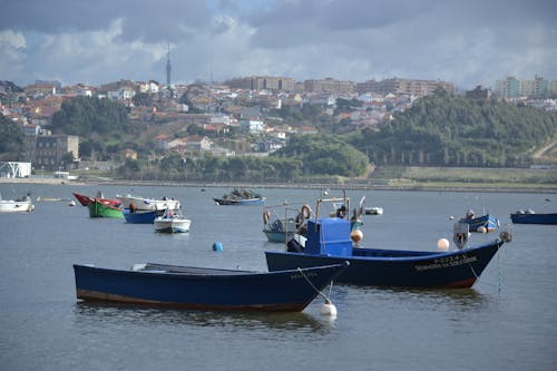 View of Boats Moored in a Bay with View of a City in the Background 
