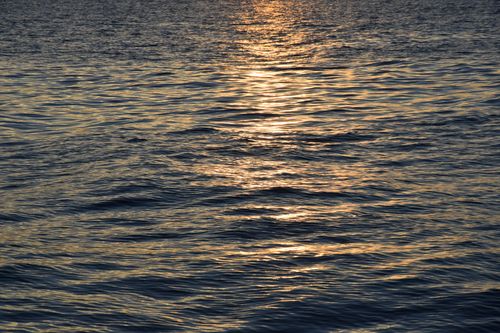 Free Sunset light dancing on rippling ocean waves, creating a golden glow. Stock Photo
