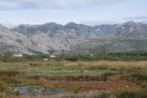 Swamp and Grassland with Rocky Hills behind