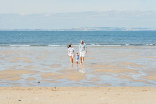 Free Family Walking on a Wet Beach Leading Their Little Son by the Hands Stock Photo