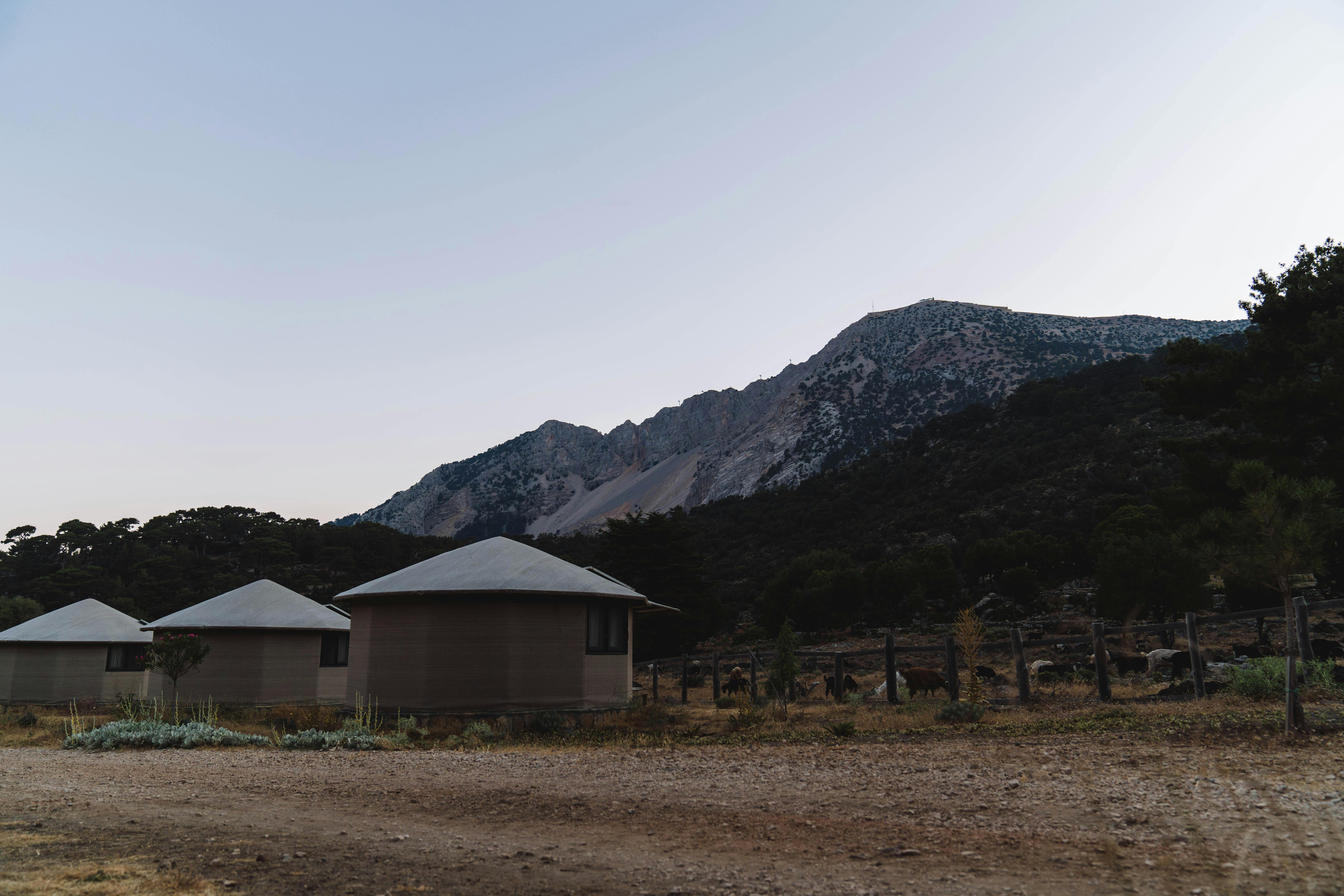 farm-with-animals-near-mountain-free-stock-photo