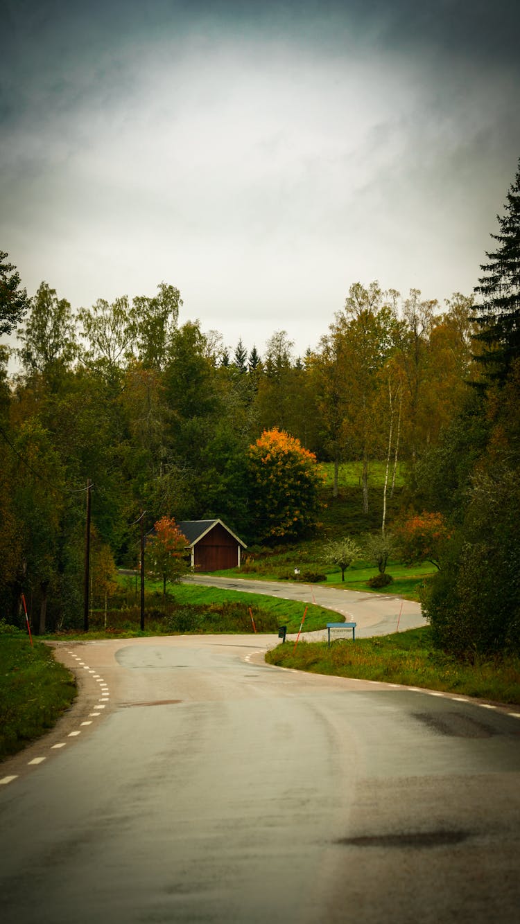 Empty Road In Countryside