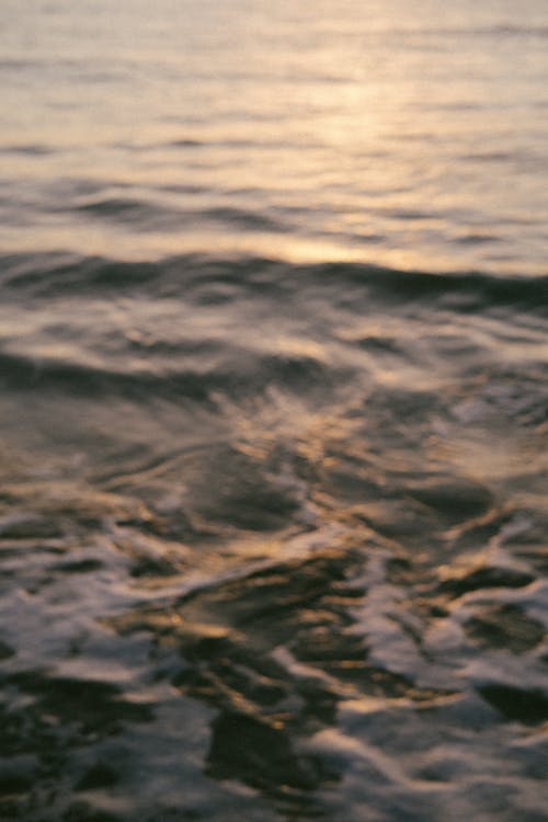Gratis stockfoto met dageraad, golven, natuur