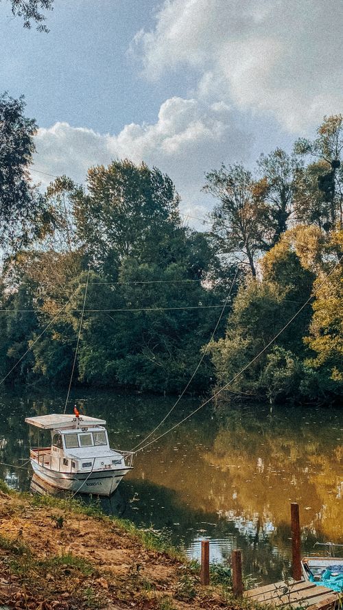 Free A tranquil river scene with a motorboat moored along a forested riverbank, perfect for nature lovers. Stock Photo