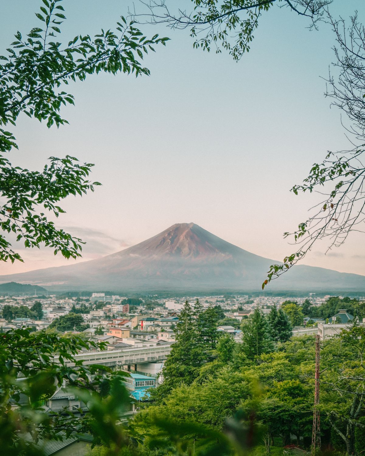 Mount Fuji visible through a frame of green foliage during a clear day in the Fuji Five Lakes region of Japan