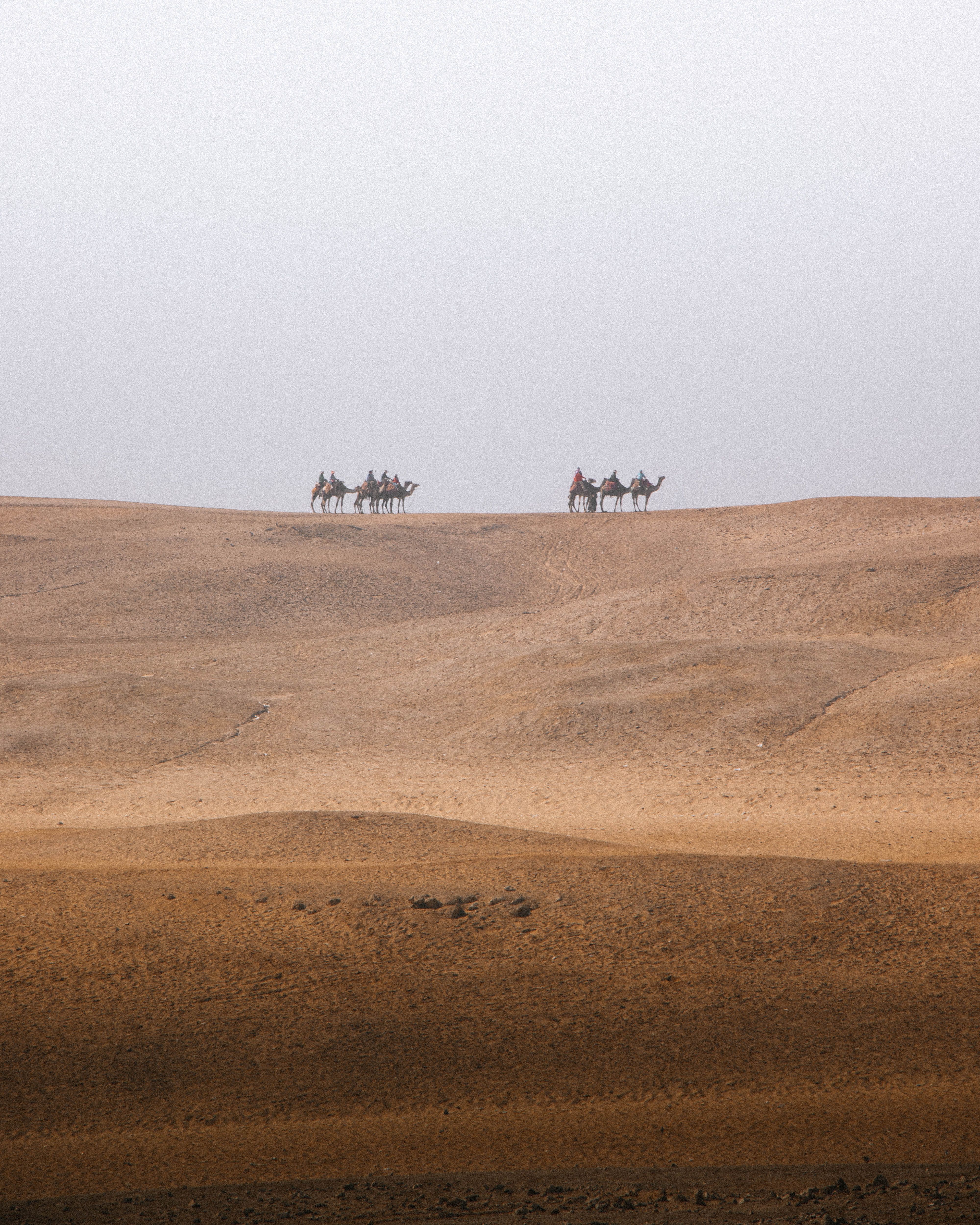 A serene camel caravan travels across Cairo's golden dunes under a cloudy sky.