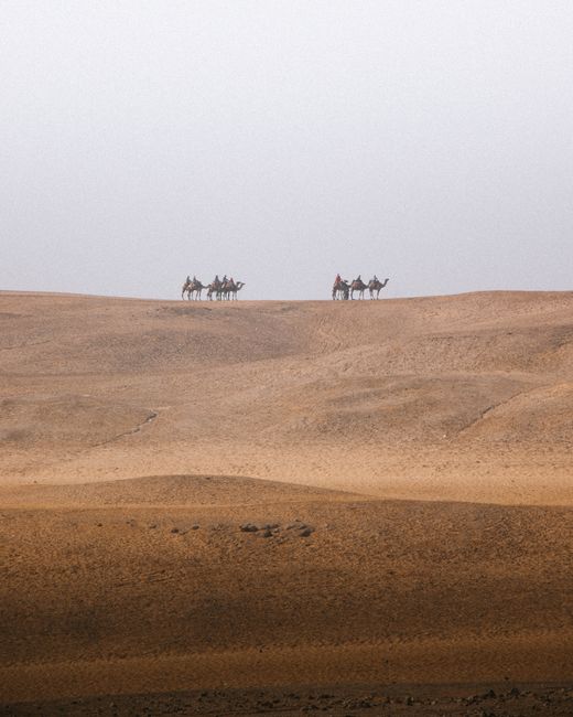 A serene camel caravan travels across Cairo's golden dunes under a cloudy sky.