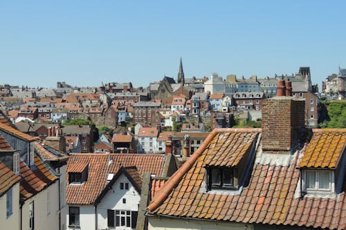 Roofs of Buildings in Town