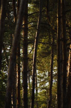 Image by Bogdan Groshev