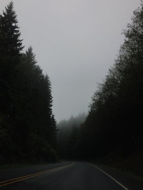 Foto Dell'autostrada Vicino Agli Alberi