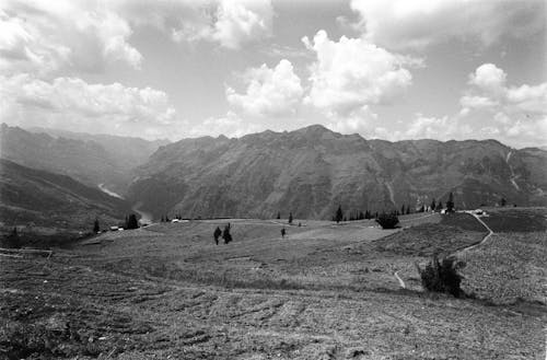Grassland and Hills behind in Black and White