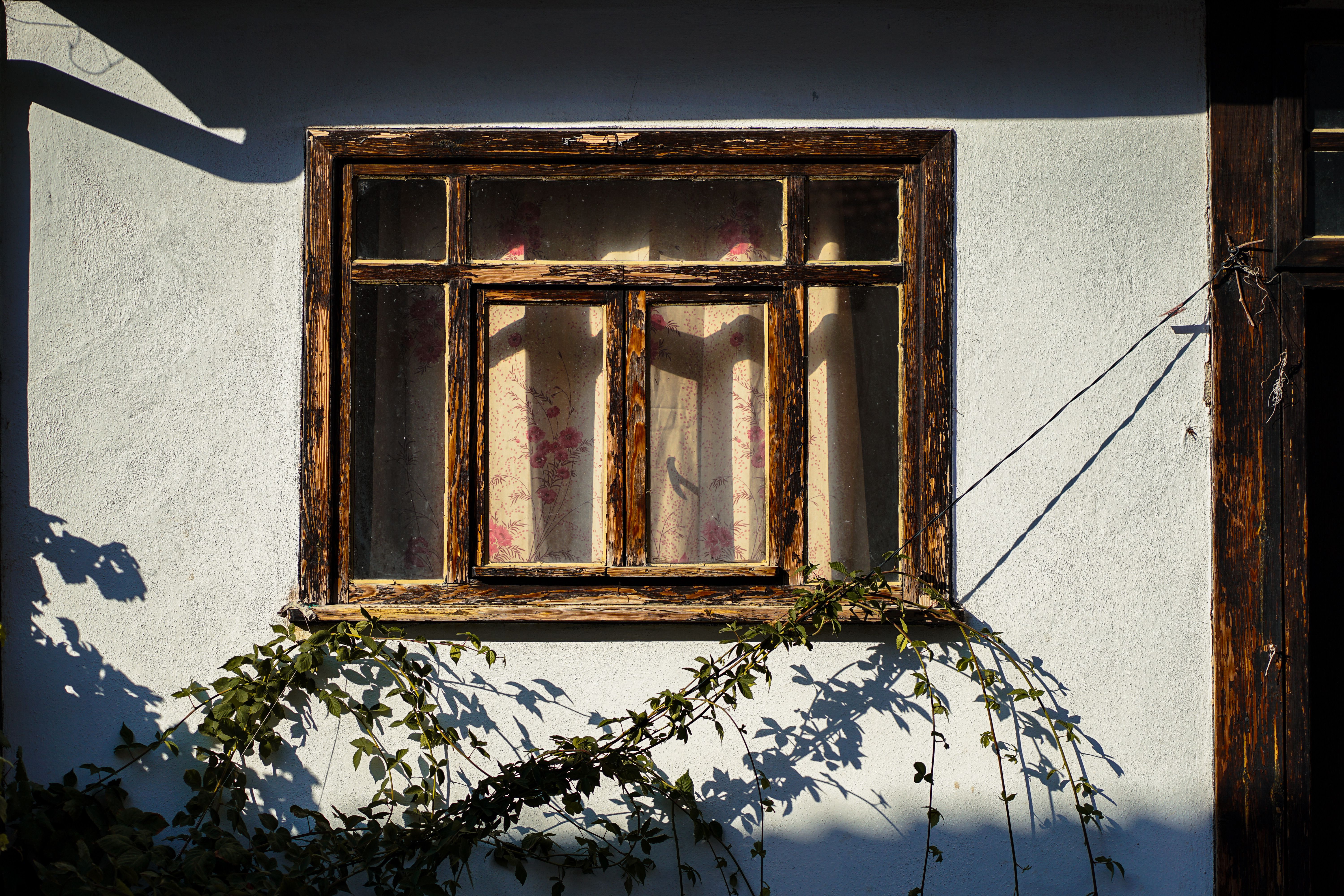 Sanierter Altbau mit modernem Interieur